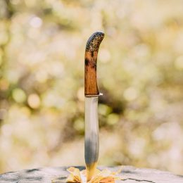 Knife stabbed in the yellow leaves and old stump