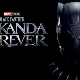 Black Panther Wakanda Forever